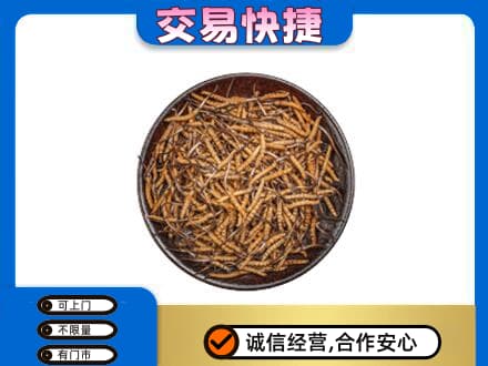 庆阳高价回收散虫草